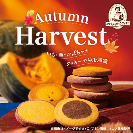 26autum_430.jpg