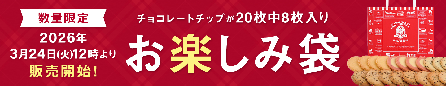 お楽しみ袋 20枚入り