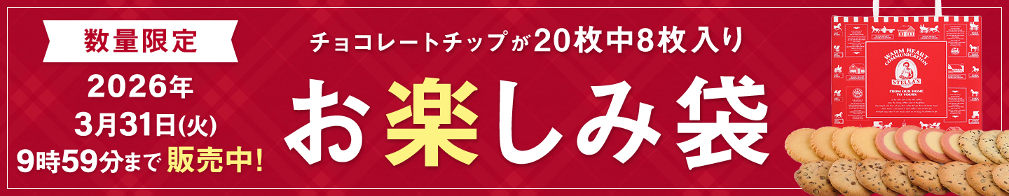 お楽しみ袋 20枚入り