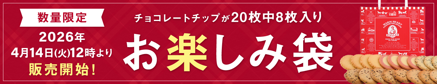 お楽しみ袋 20枚入り