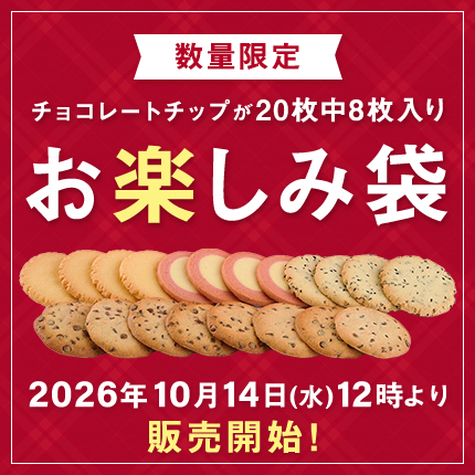 お楽しみ袋20枚