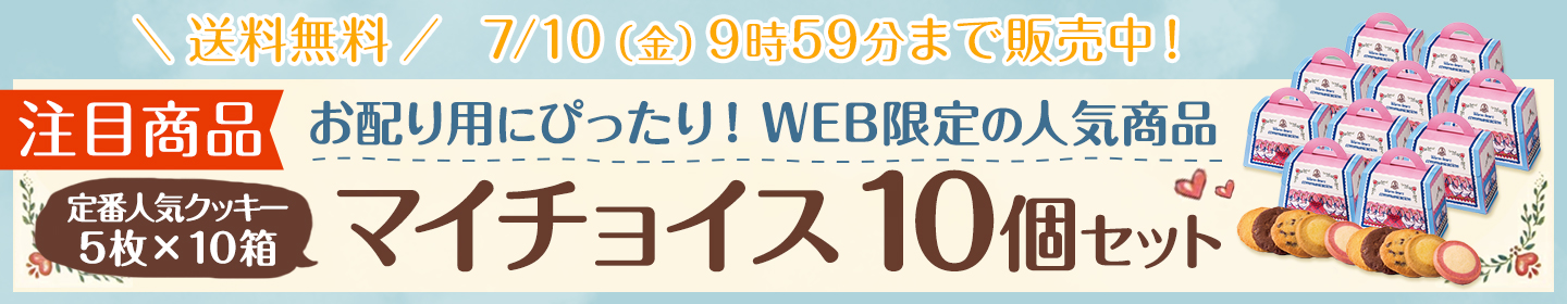 マイチョイス10個セット